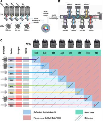 Multi-Spectral Clinical Prototype for Fluorophore Detection